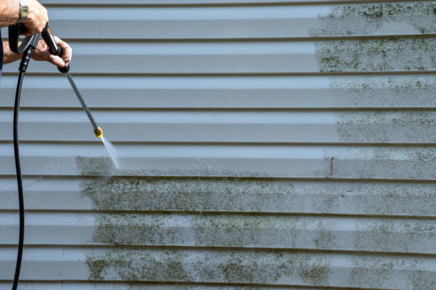 Best Attic Cleanout  in Toppenish, WA