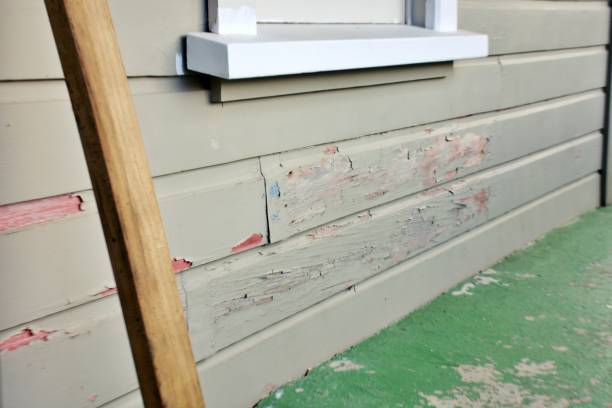 Best Construction Debris Removal  in Toppenish, WA